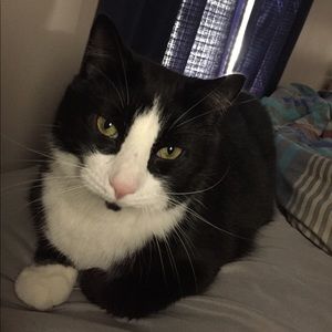 Meet your Posher, Florence